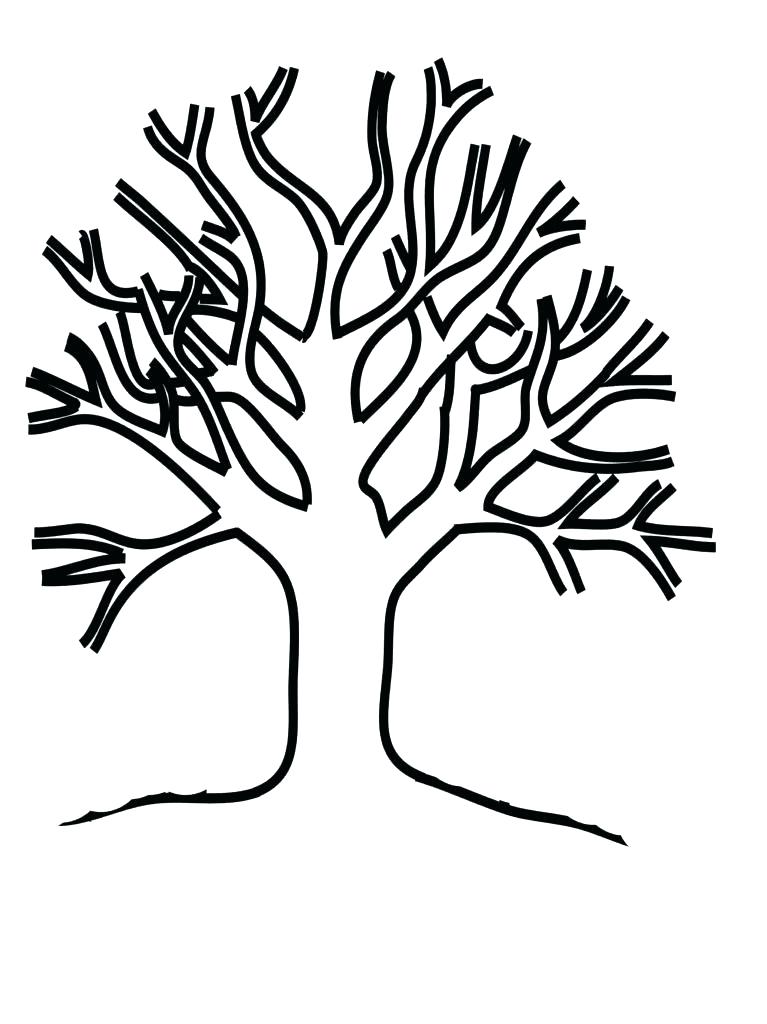 767x1024 Tree Without Leaves Coloring Page Fall Tree Without Leaves