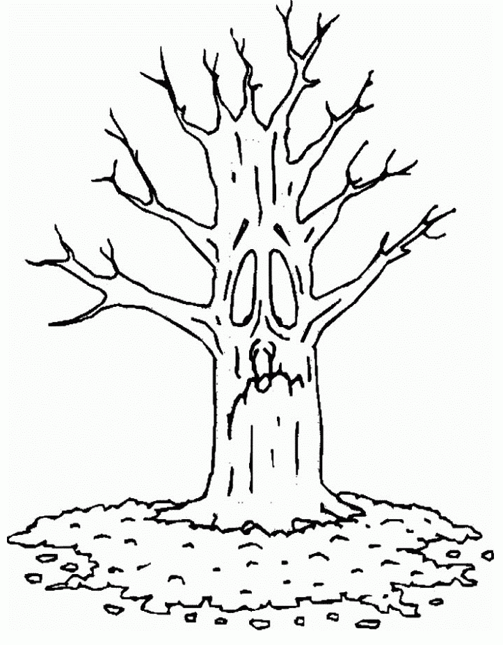 723x927 Tree Without Leaves Coloring Page Many Interesting Cliparts