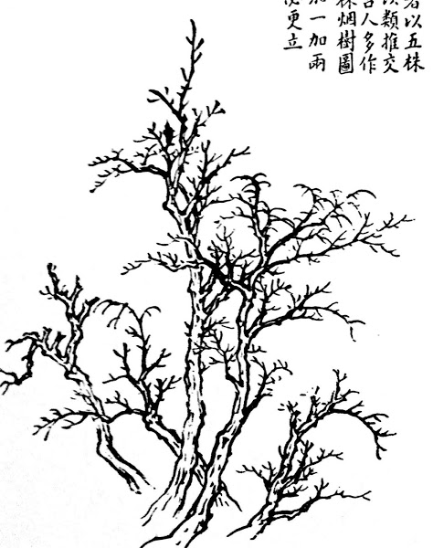 474x600 Tree Without Leaves Colouring Pages