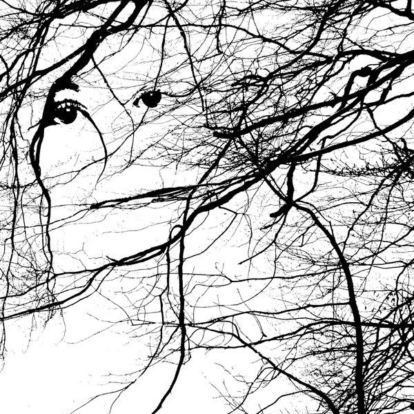 600x600 Face In The Trees By Emilylharrison