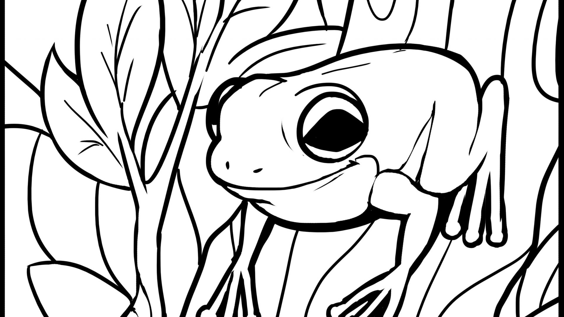 1920x1080 Frog Coloring Pages Cac283utare Google Animale Pac283sac283ri