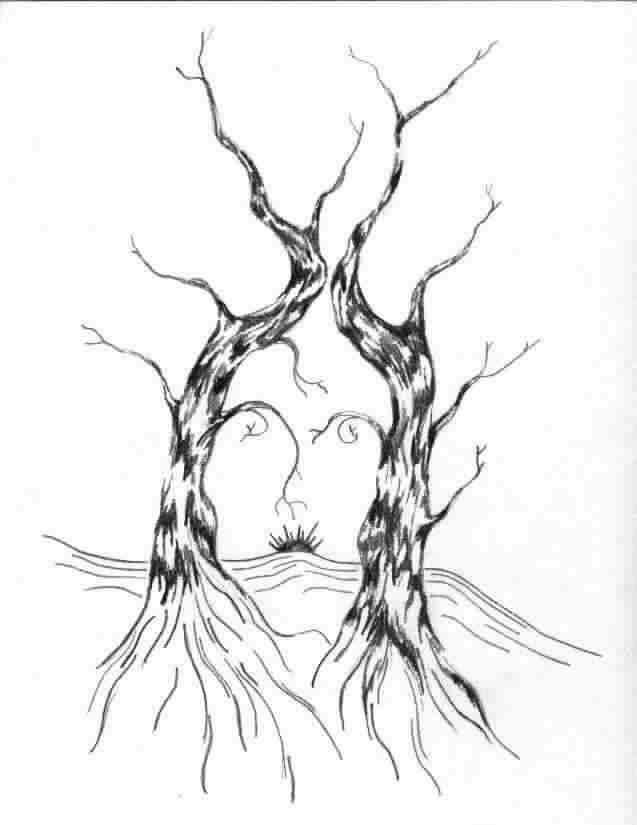 637x825 Tree Face (Bruce Lyon)