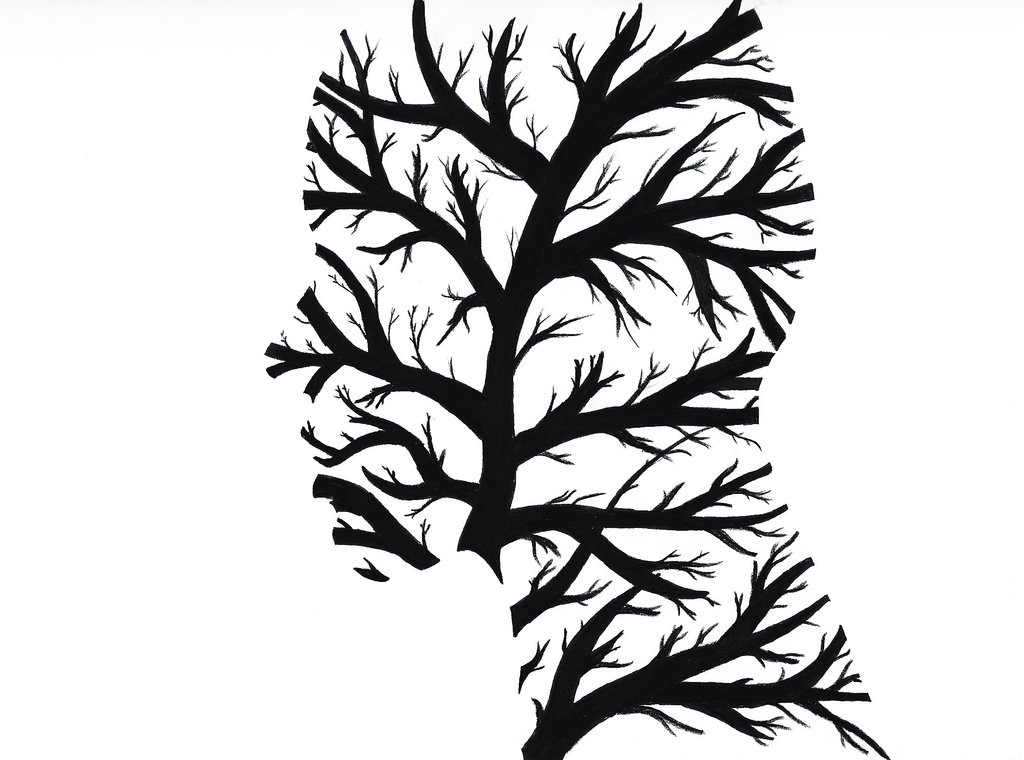 1024x760 Tree Face Profile By Starwarstory