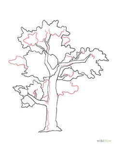 236x299 How To Draw An Oak Tree My Best Friends Wedding