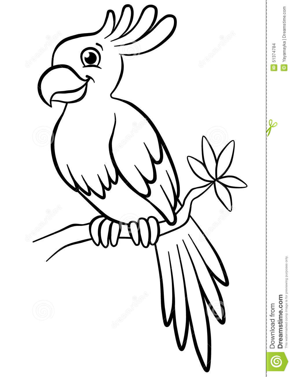 1009x1300 Parrot Clipart Tree Drawing