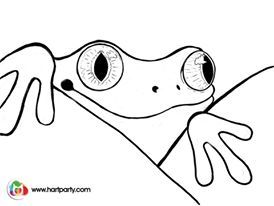 274x206 Coloring Page And Trace Able For The Tree Frog Httpswww.youtube