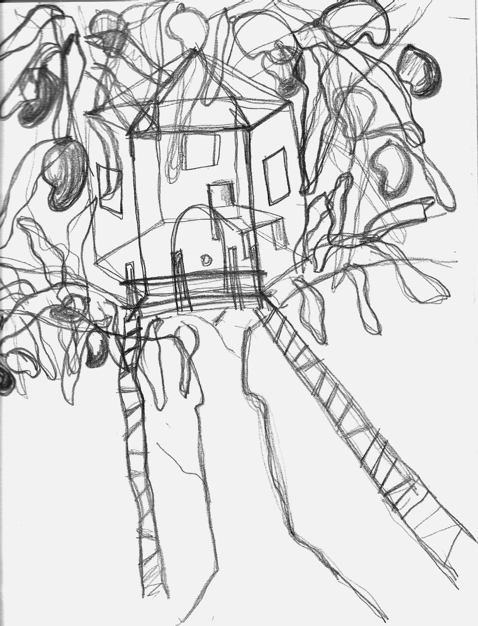 1527x1998 House On A Mango Tree Fatimahussain's Blog