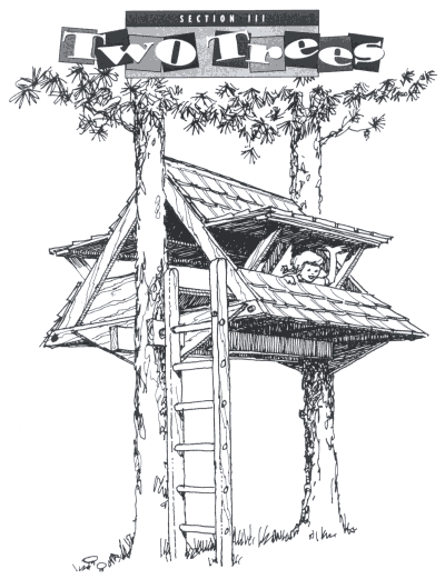 400x521 How To Build Treehouses, Huts Amp Forts By Stiles Designs.
