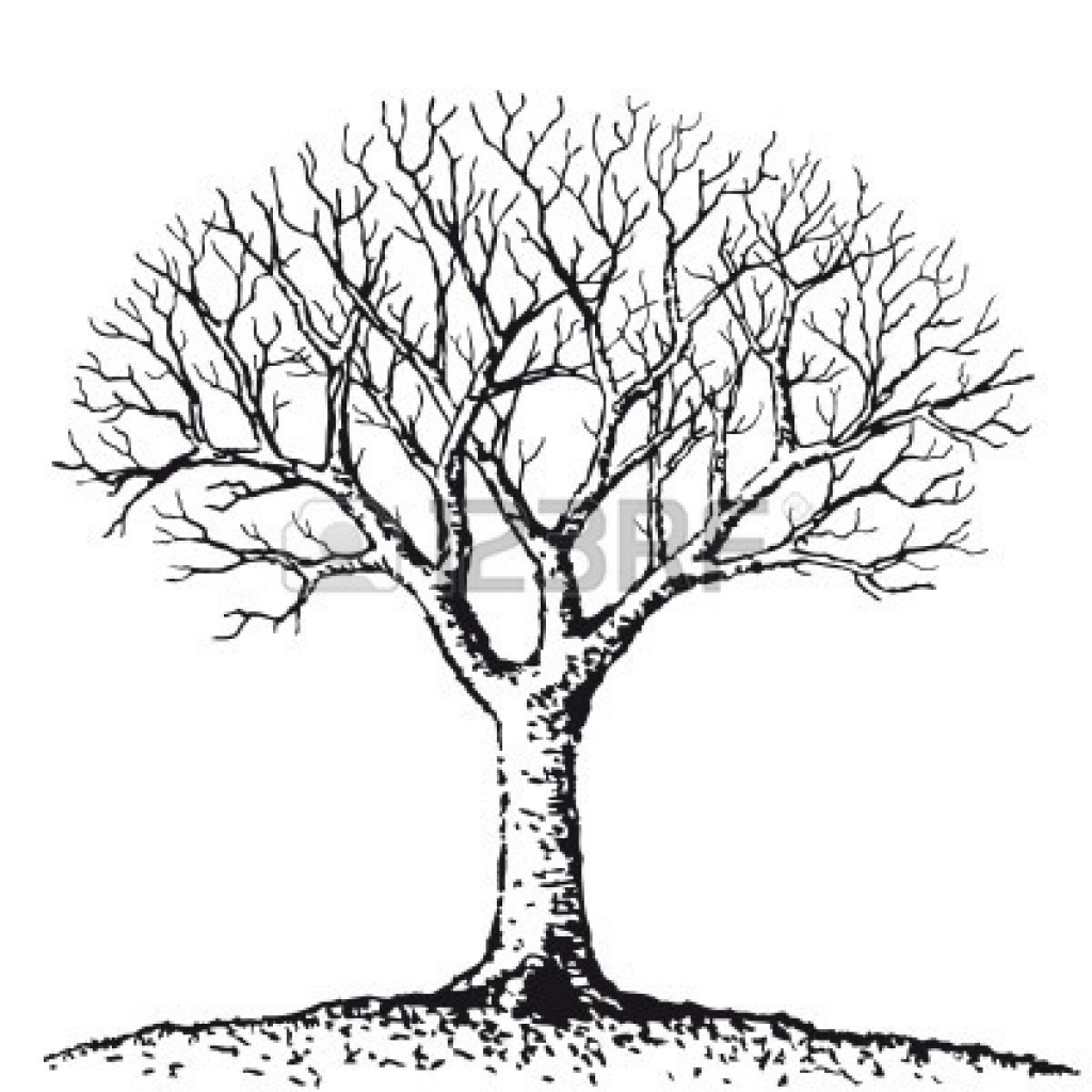1024x1024 Simple Tree Drawing Simple Black And White Tree Drawing Clipart