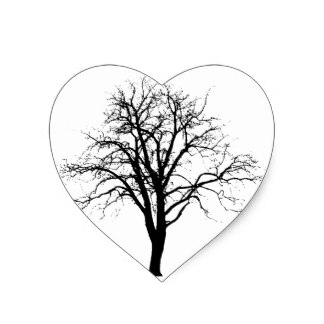 324x324 Bare Branches Tree Dead Leafless Craft Supplies Zazzle