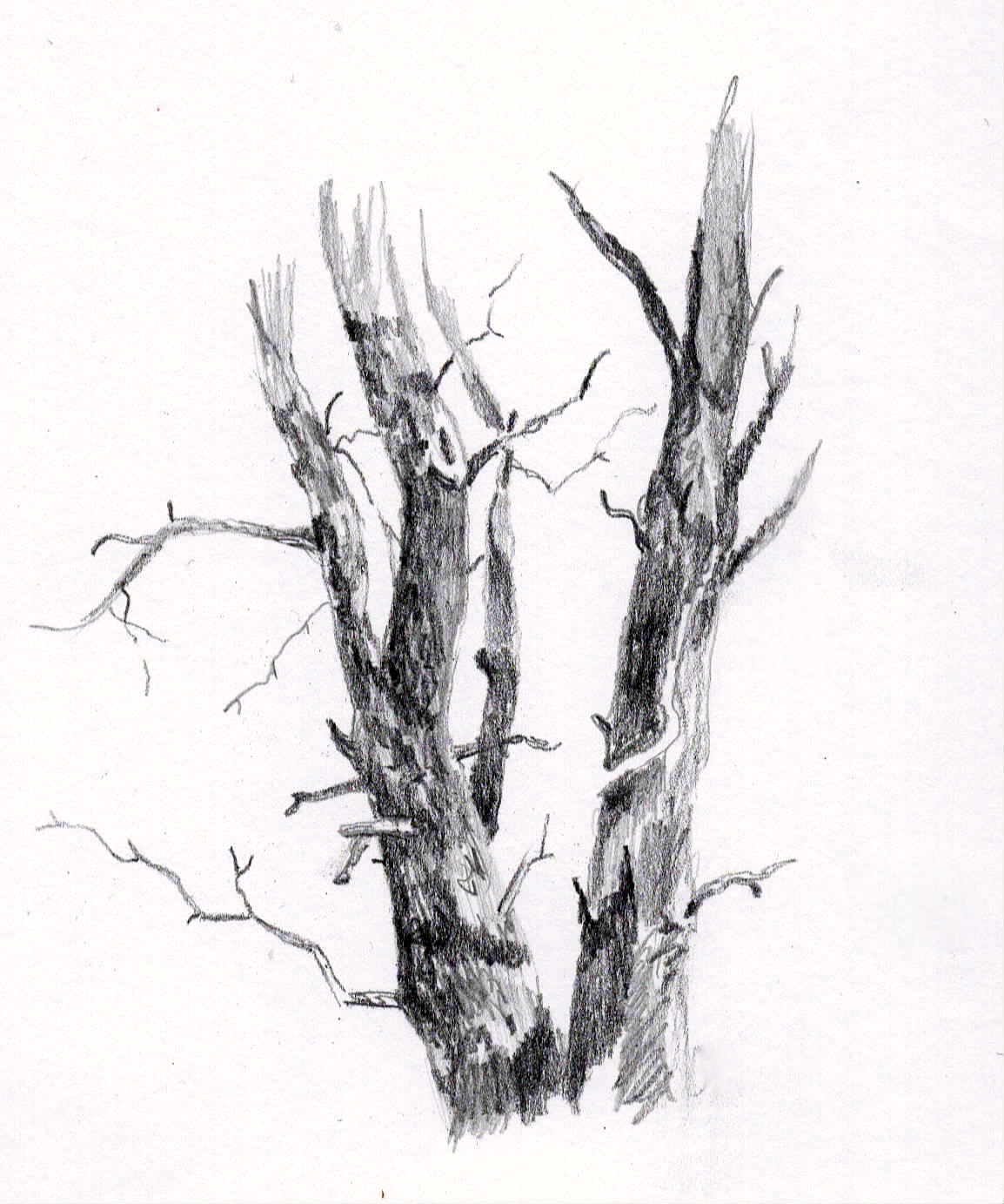 1154x1383 Scott's Creativity For Sanity