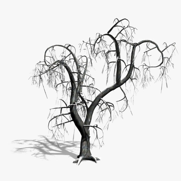 600x600 Searched 3d Models For Tree With Snow