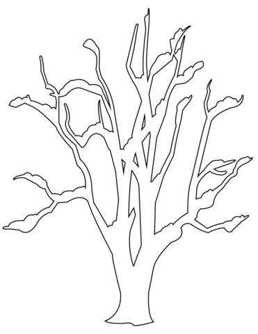 371x480 Winter Bare Tree Coloring Page Free Printable Coloring Pages