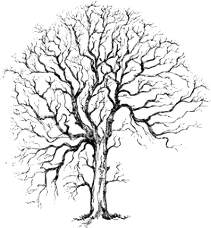 700x756 Winter Season Drawing Ideas Easy