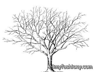 320x245 Winter Trees