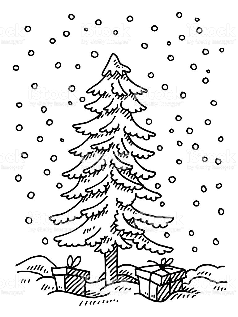 769x1024 Drawn Fir Tree Winter Tree