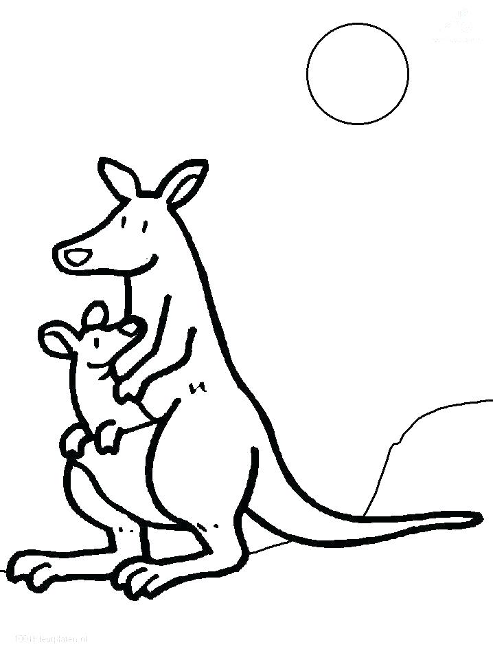 718x957 New Kangaroo Color Page Crayola Photo Coloring Pages Drawings