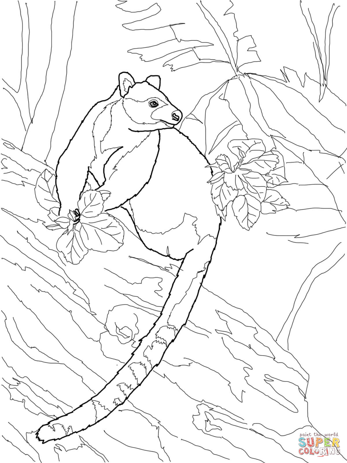 1200x1600 Tree Kangaroo Coloring Pages Free Coloring Pages