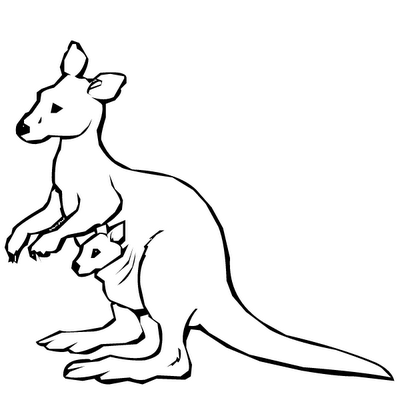 400x400 Kangaroo Color Sheet Book Does A Kangaroo Have A Mother Too