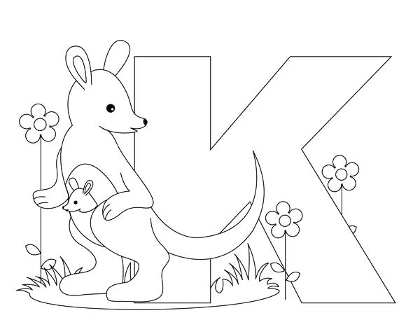 600x467 Top Rated Kangaroo Coloring Page Pictures