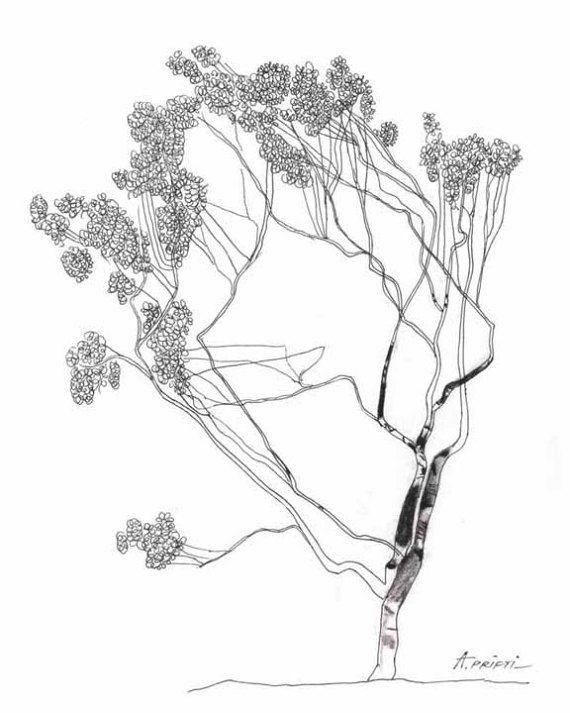 570x713 Print Of Landscape Drawing Tree Ink Drawing Rectangular