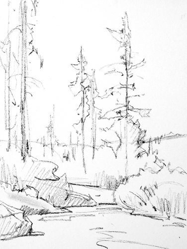 376x500 Recording The Stages Of A Pastel Painting