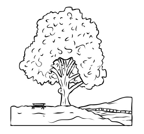 500x465 Tree Drawing Royalty Free Stock Image