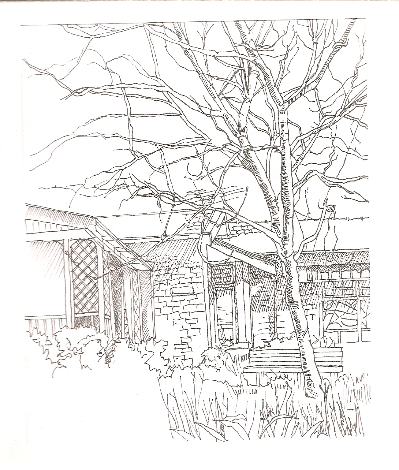 Tree Landscape Drawing at GetDrawings | Free download