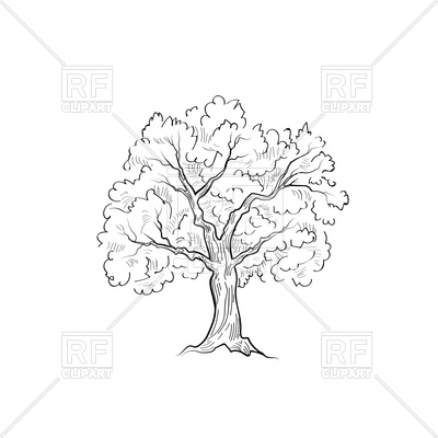 400x400 Tree With Leaves