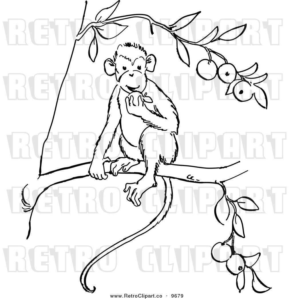 1024x1044 Free Black And White Line Drawing Clip Art