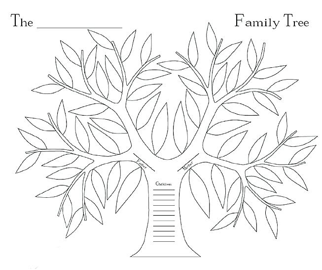 Tree No Leaves Drawing at GetDrawings | Free download