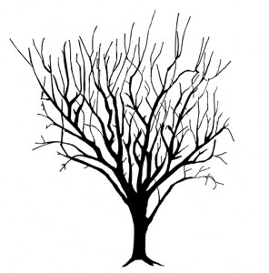 296x300 Gradually Reducing Size Of Fruit Trees Growplenty Productive