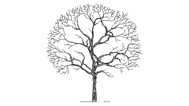 640x360 9 Best Images Of Drawing Of A Tree With No Leaves