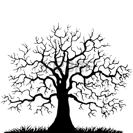 450x450 Tree Without Leaves Stock Photos. Royalty Free Business Images