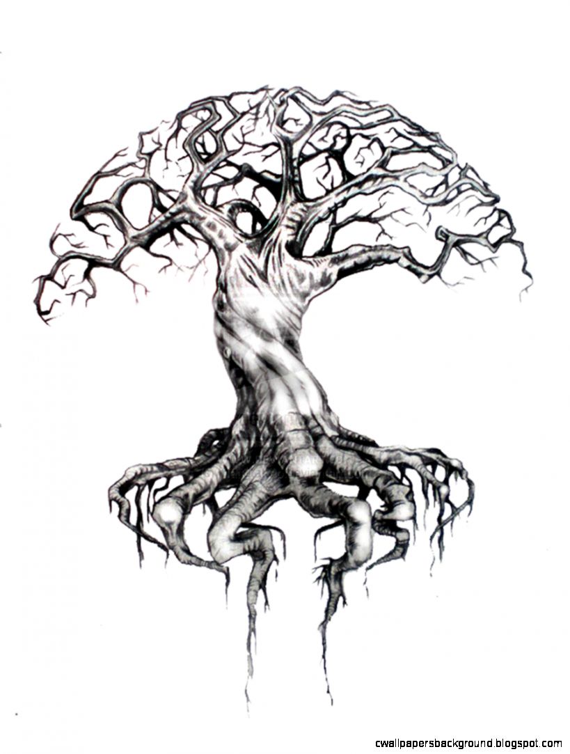 819x1083 Tree Of Life Drawing Wallpapers Background