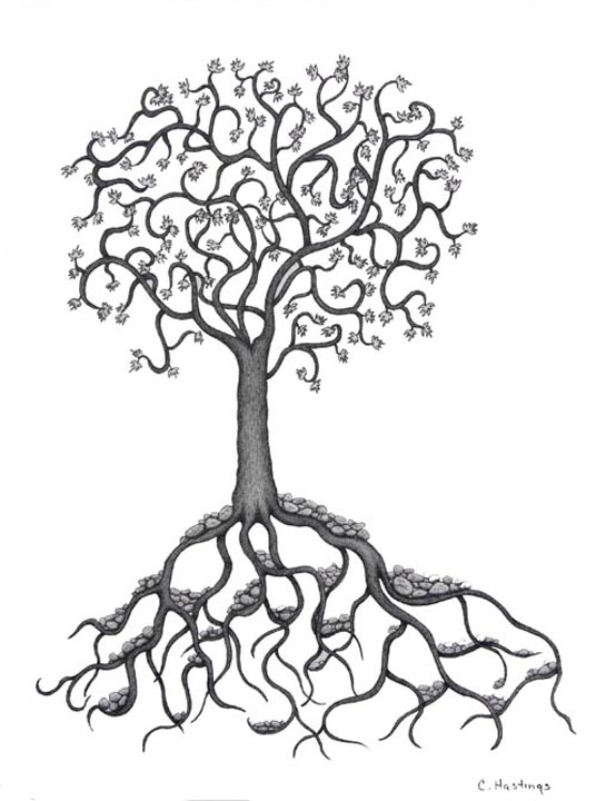 536x720 Tree Of Life