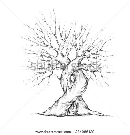 450x470 24 Best Family Tree Wall Images On Family Trees