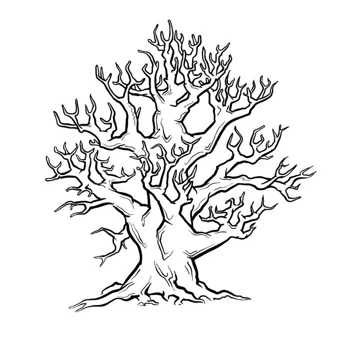 700x697 Big Old Tree. Freehand Drawing. Vector. Wall Mural We