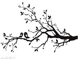 257x196 Cherry Blossom Branch Drawing