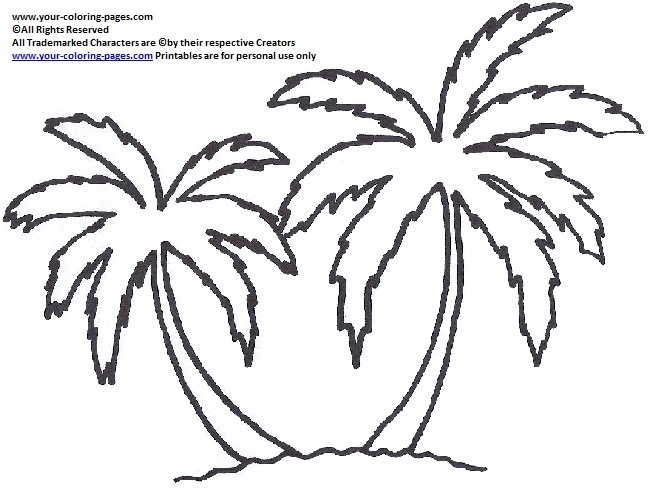 654x488 The Best Palm Tree Outline Ideas On Paper Palm