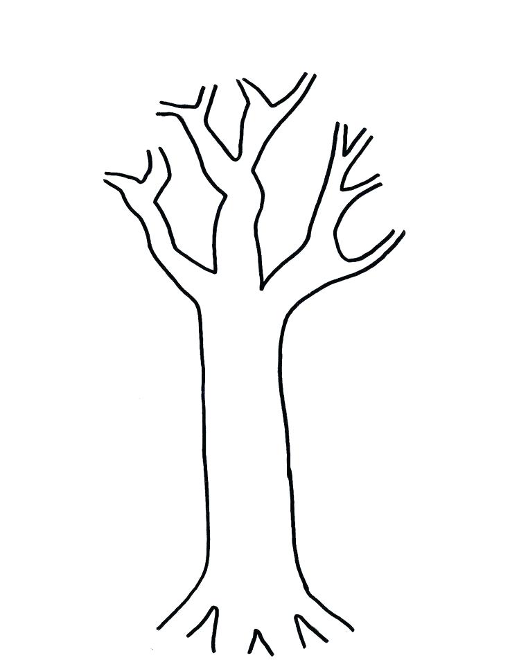 736x952 Outline Tree