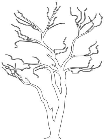 360x480 Bare Tree Outline Coloring Page Free Printable Coloring Pages