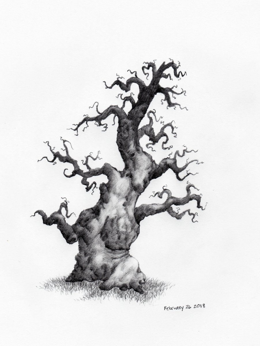 Tree Pencil Drawing at GetDrawings | Free download