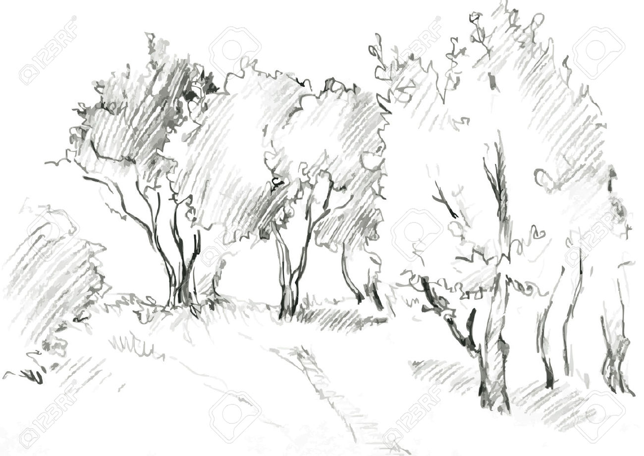1300x920 Pencil Drawing Of Tree Background How To Draw A Tree