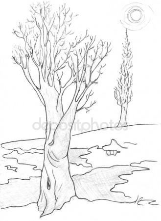 329x450 Trees, Pencil Drawing Stock Photo Kolodochka