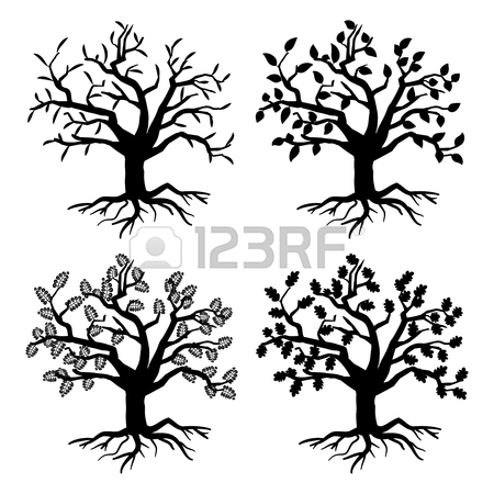450x450 Tree Drawing Stock Photos. Royalty Free Business Images