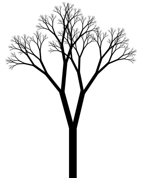 470x596 Black And White Tree Drawing Simple Black And White Tree Drawing