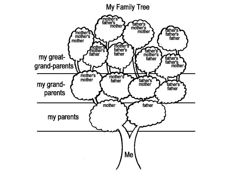 800x600 Factor Tree Activity Worksheets For All Download And Share