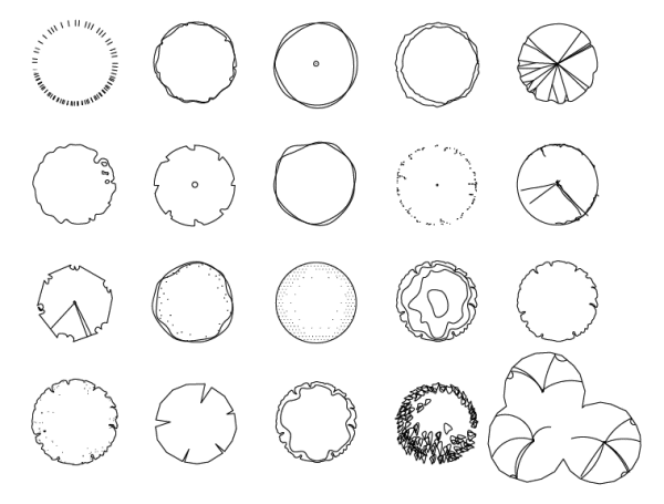 Tree Plan Drawing at GetDrawings | Free download