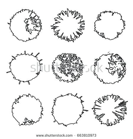 450x470 Tree Symbols For Landscape Design Tree Symbols Landscape Design